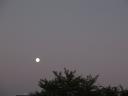 Otsukimi view of the moon in Nagoya Japan