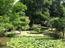 Park behind Nara Prefectural Museum