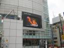 Japanese high tech video screen in Shinjuku
