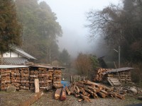sasayama_kiln_woodstack Kiln in Sasayama