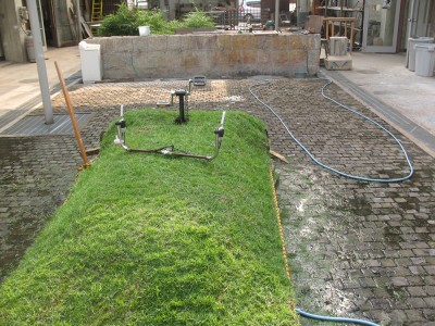 Green grass bicycle
