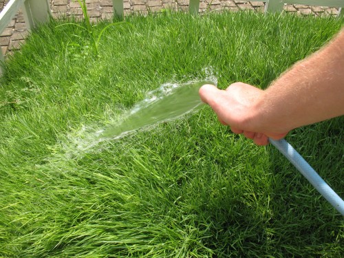 The rear corner of the Grass Bike Watering the Grass Bike in Nagoya, Japan
